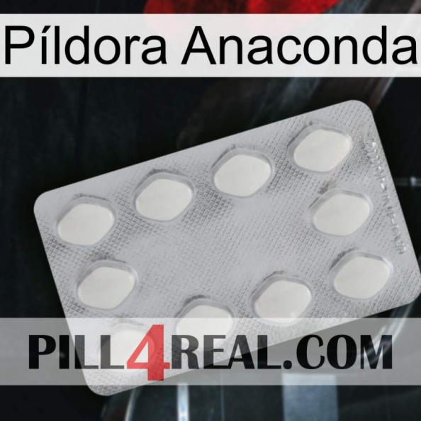 Píldora Anaconda 16.jpg